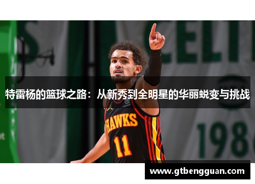 特雷杨的篮球之路：从新秀到全明星的华丽蜕变与挑战